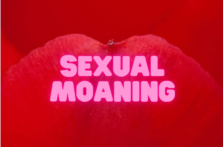 sex toys